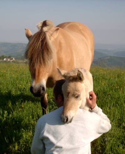 Konny , talia et Cyril