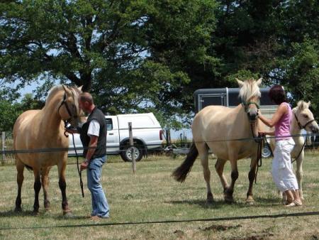 Konny et Hongroise &agrave; Montbron